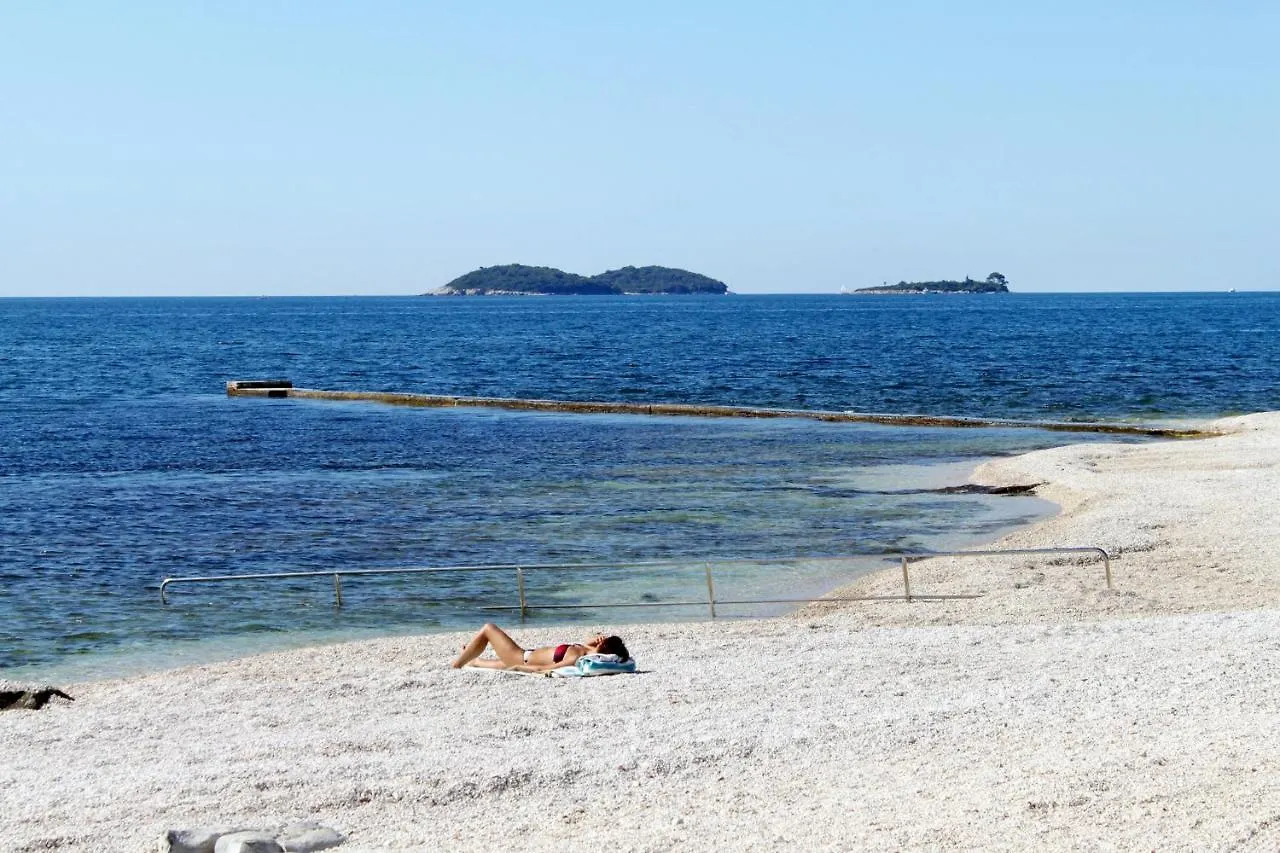 Apartments With Wifi Rovinj - 9702